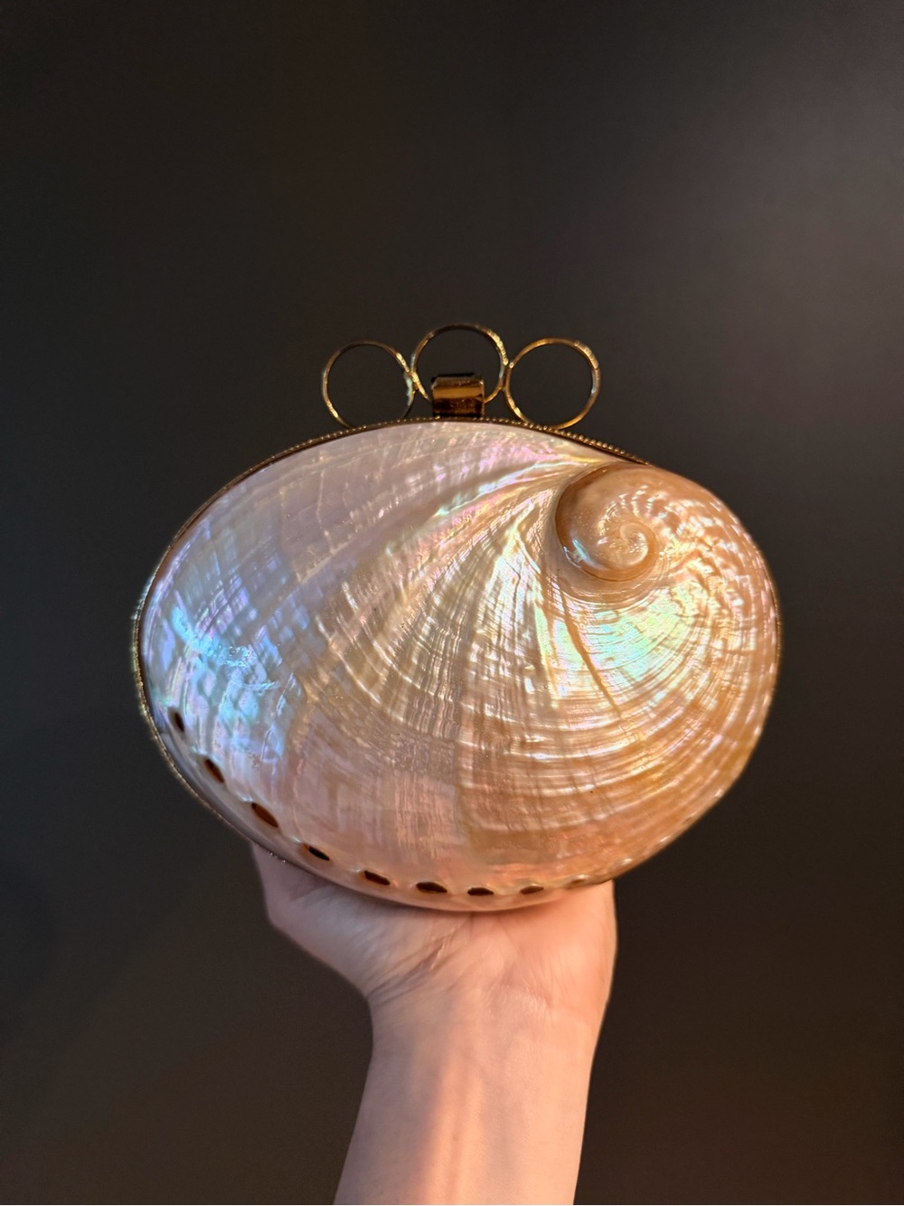 Iridescent Shell Clutch with Gold Frame